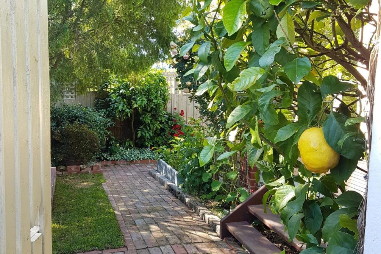 Healesville House - Fig Tree House Exterior foto